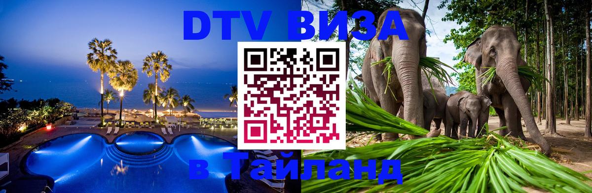 Сколько стоит DTV виза — актуальные цены, оформление даже без документов - Иваново 